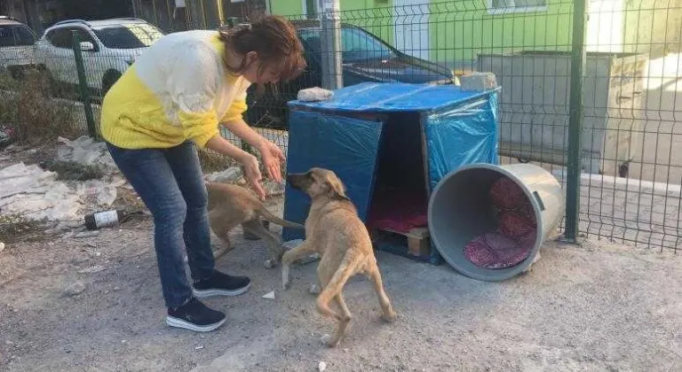 BARINAK YOK, ÇALIŞMALAR YETERSİZ!           