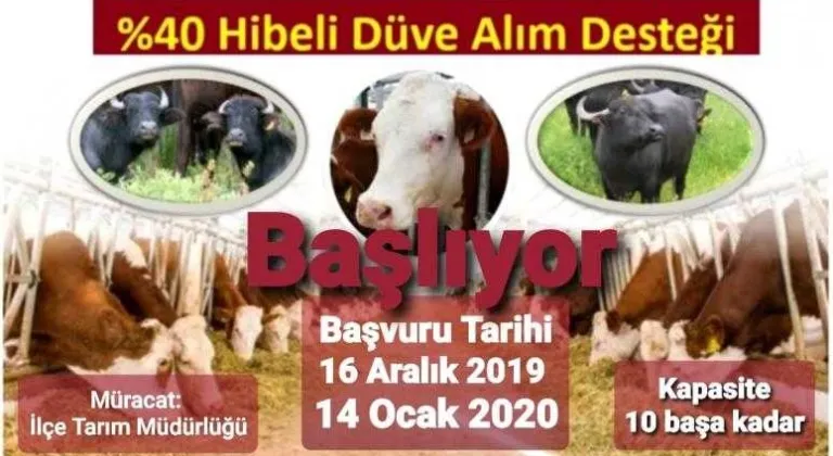 Başvurular Başladı