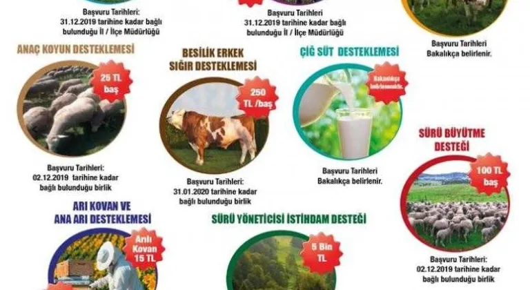 Başvurular Sürüyor