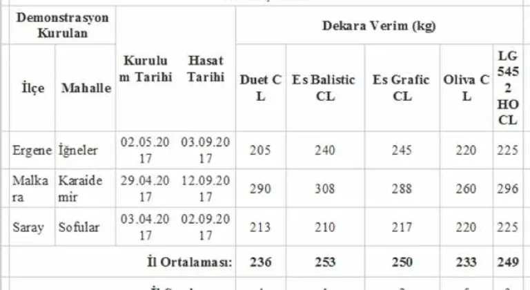 Denenen Ayçiçeklerinin Verim Sonuçları Açıklandı