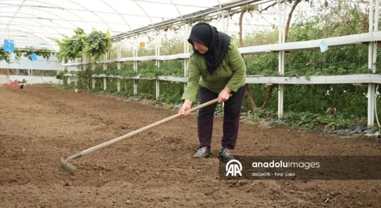 Devlet desteğiyle seracı olan kadın yetiştirdiği ürünleri müşterilerine satıyor