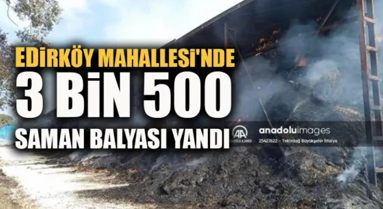 Edirköy Mahallesi'nde 3 bin 500 adet saman balyası yandı