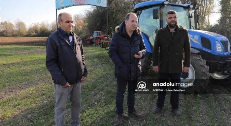 Edirne Belediyesi Cumhuriyet Çiftliği'ne yerli buğday tohumları ekildi