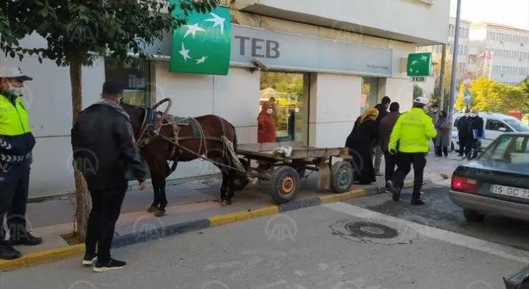 Edirne'de at arabasını kaldırıma bırakan kişiye para cezası uygulandı