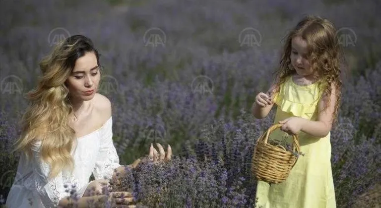 Edirne'de lavanta tarlasında fotoğraf etkinliği