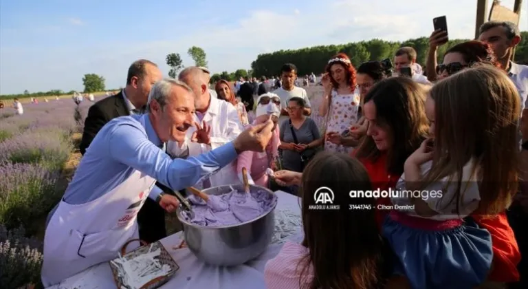 Edirne'de lavanta tarlasını ziyaret edenlere, lavantalı Osmanlı helvası ikramında bulunuldu