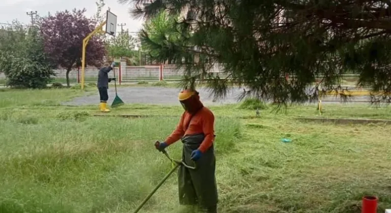 Ekipler, yabani otları temizlemek için yoğun mesai yürütüyor