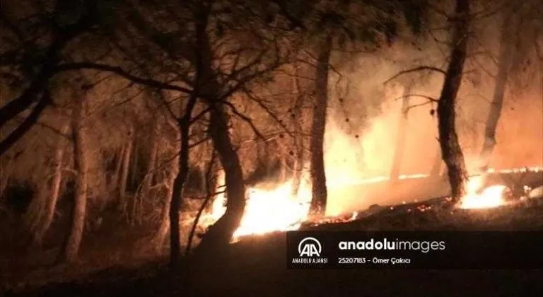 Enez'de çıkan orman yangını söndürüldü