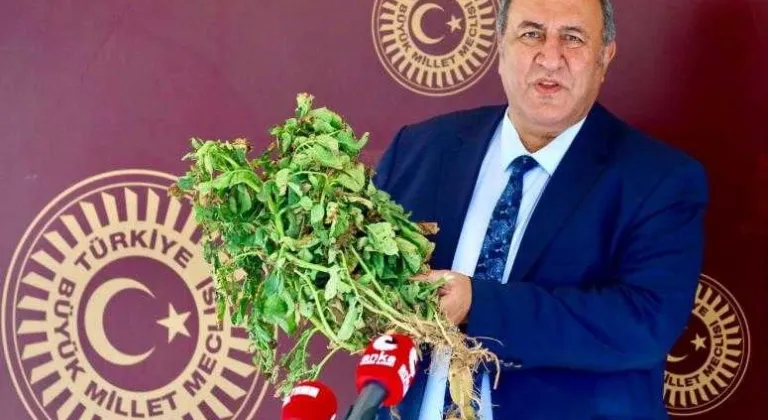 Fethi Gürer: “AKP iktidarı çiftçinin halini görmezden geliyor “