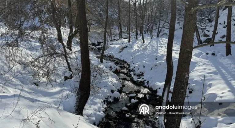 Ganos Dağı eteklerindeki ormanlarda kış güzelliği