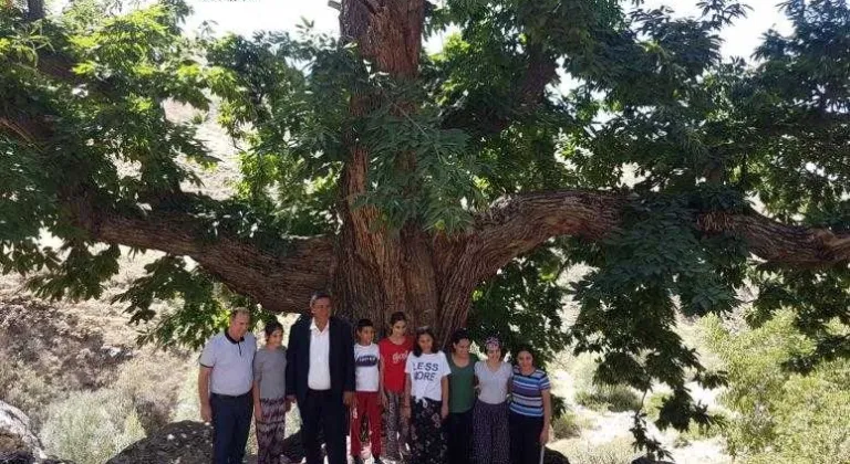 Gürer : “Bakan, kestanede üretim fazlamız var diyor, Çin’den ithal kestane geliyor”