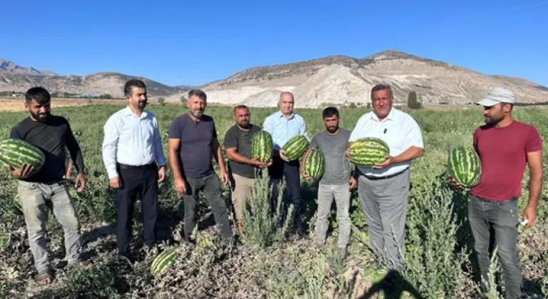 Gürer: Karpuz tarlada kaldı