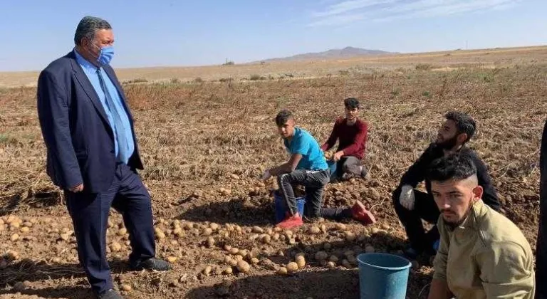  GÜRER: “TONLARCA PATATES DEPOLARDA ÇÜRÜYEBİLİR!..”