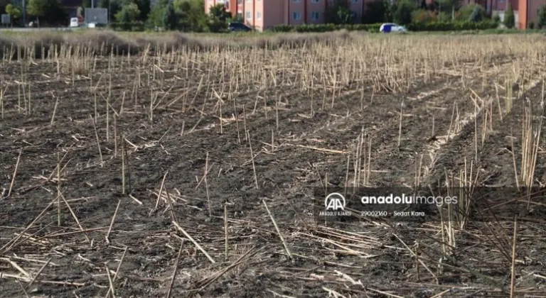 Hayrabolu'da ayçiçeği sapları hasat sonrasında evleri ısıtıyor