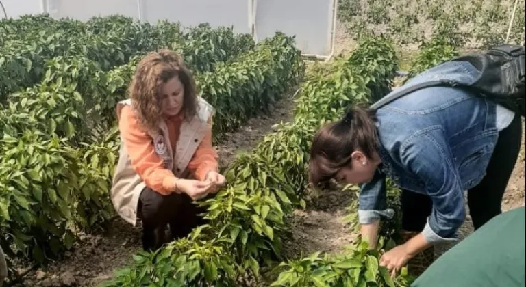 İlçe Tarım zararlı maddelere karşı bilgilendirme çalışmaları sürüyor