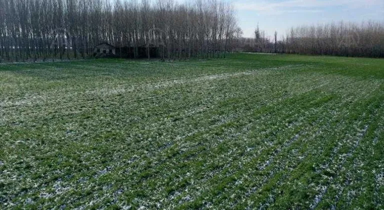 KAR YAĞIŞI TRAKYA ÇİFTÇİSİNİN YÜZÜNÜ GÜLDÜRDÜ