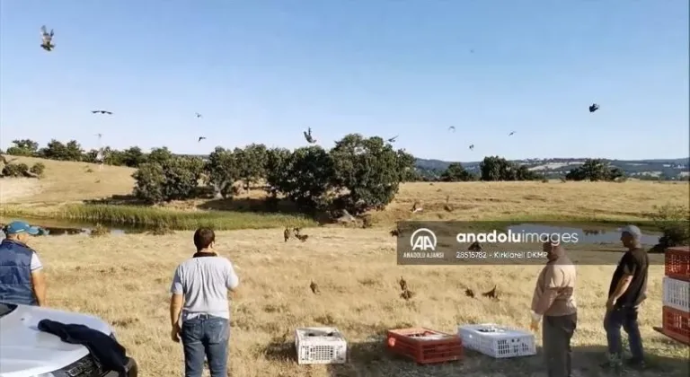 Kırklareli'nde bin çil kekliği doğaya bırakıldı