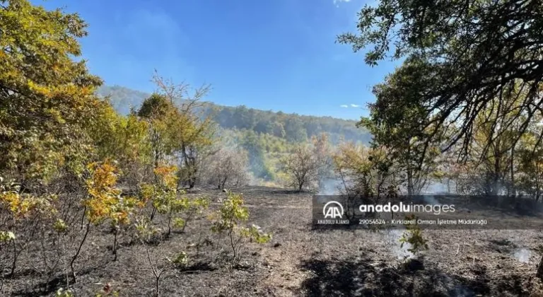 Kırklareli'nde çıkan orman yangını söndürüldü