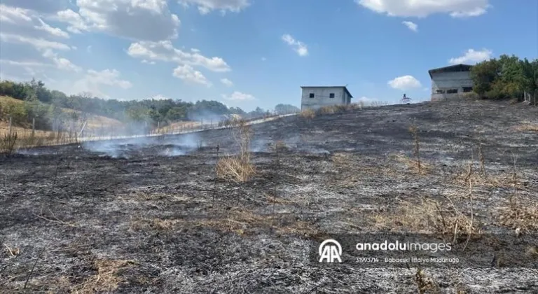 Kırklareli'nde otluk alanda çıkan yangın söndürüldü