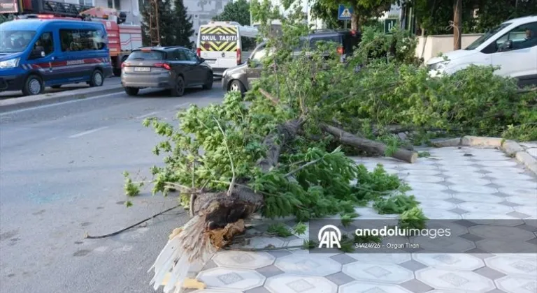 Kırklareli'nde şiddetli rüzgar etkili oldu