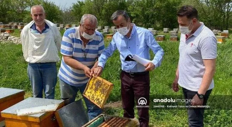 Kırklareli'nde tescilli meşe balı üreticilerinin koloni kontrolleri yapıldı