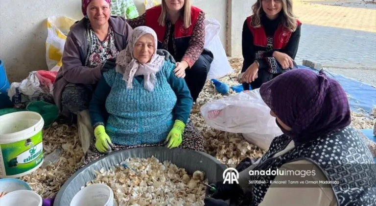 Kırklareli'nden kısa kısa