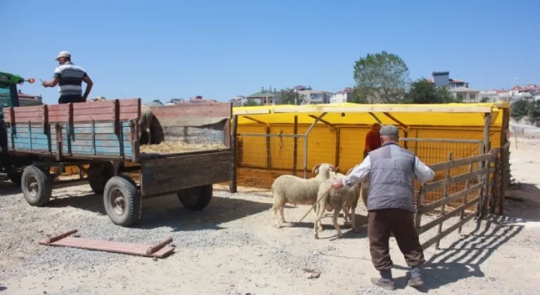 Kurban Pazarında Hareketlilik Başladı