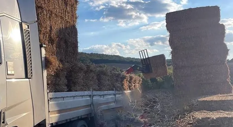 Manşet Resmi