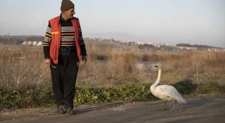 MEKTUP GÖTÜRDÜĞÜ KÖYDE BULDUĞU KUĞU İLE POSTACININ 