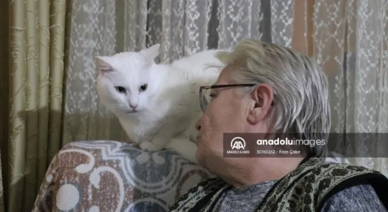 Önce yaralı kedi yavrusunu sahiplendi ardından evini 6 