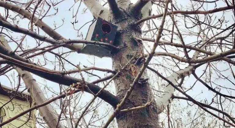 ÖSAL’dan Kuş Evleri Projesi