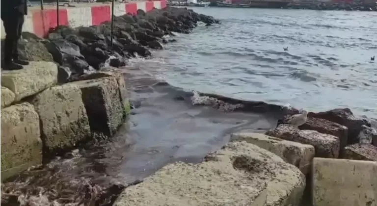 Poyraz Fırtınası Süleymanpaşa Kıyılarını Kızıl Yosunlarla Kapladı