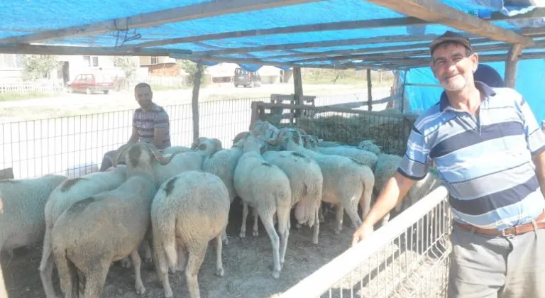 Saray’da Kurban Satışları Durgun