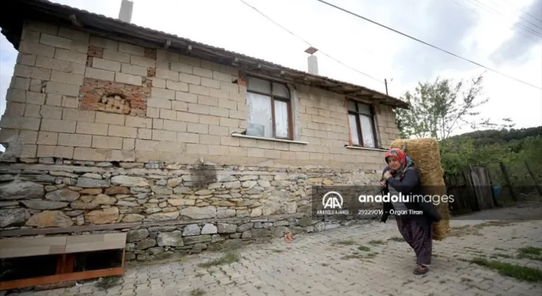 Şehirden köye dönen kadınlar, Istranca Dağları'nın eteğinde mutlu yaşam sürüyor