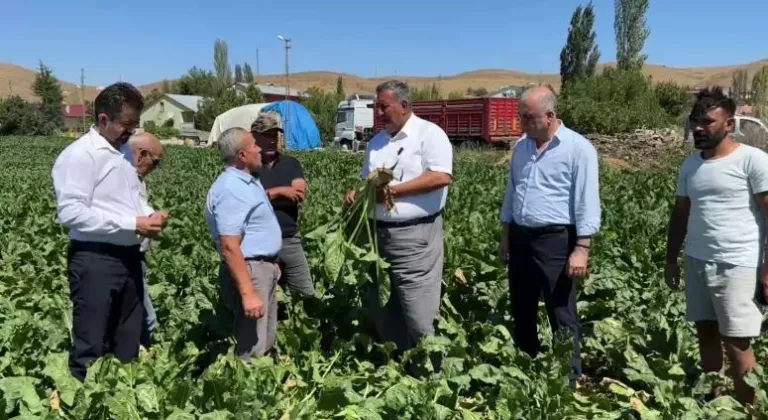 Şeker pancarı çiftçisi fiyat bekliyo