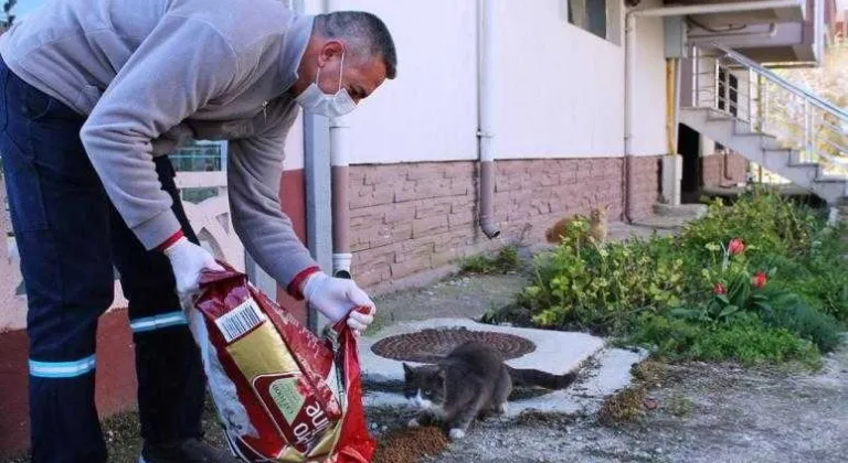 SOKAKTAKİ CANLAR SÜLEYMANPAŞA BELEDİYESİ’NE EMANET