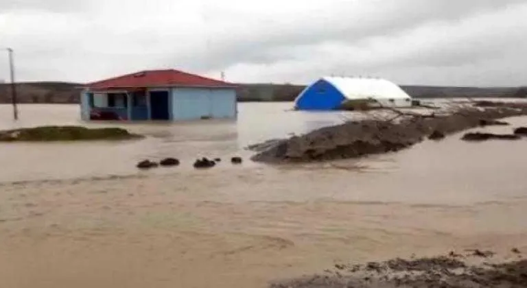 Tarım alanları sular altında kaldı     