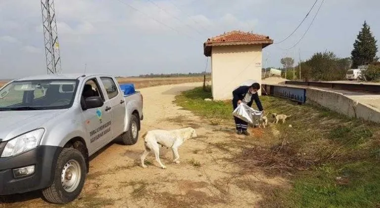 TEKİRDAĞ BÜYÜKŞEHİR BELEDİYESİ SOKAK HAYVANLARINI UNUTMUYOR