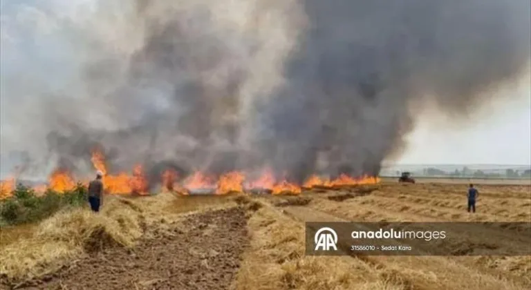 Tekirdağ'da 12 dönüm buğday ekili alan yangında zarar gördü