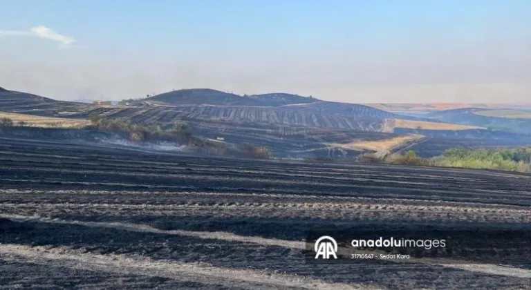 Tekirdağ'da 40 dönüm buğday ekili alan yandı