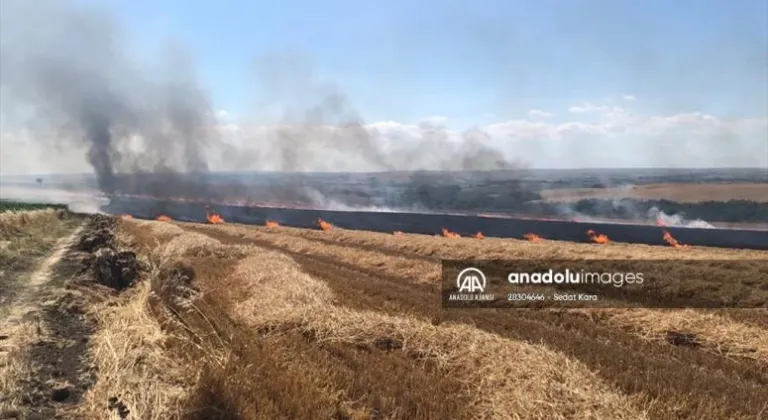 TEKİRDAĞ'DA 50 DÖNÜM TARIM ALANI YANDI