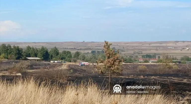 Tekirdağ'da ağaçlık alanda çıkan yangın söndürüldü