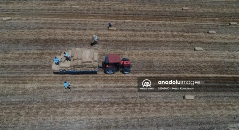 Tekirdağ'da balya işçilerinin zorlu mesaisi başladı