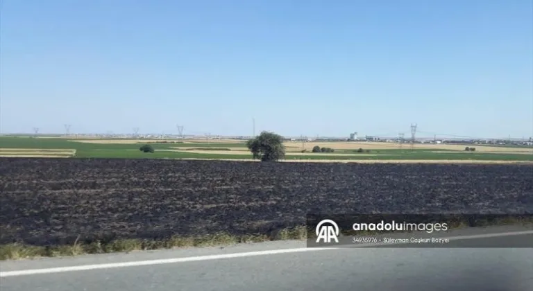 Tekirdağ'da buğday tarlasında çıkan yangın söndürüldü