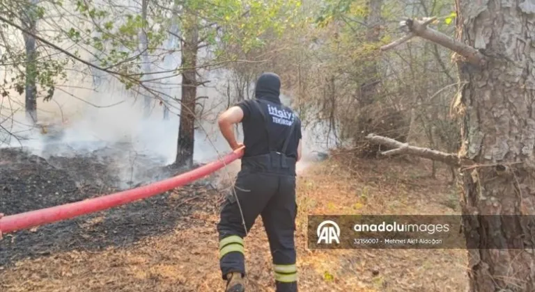 Tekirdağ'da çıkan orman yangını kontrol altına alındı