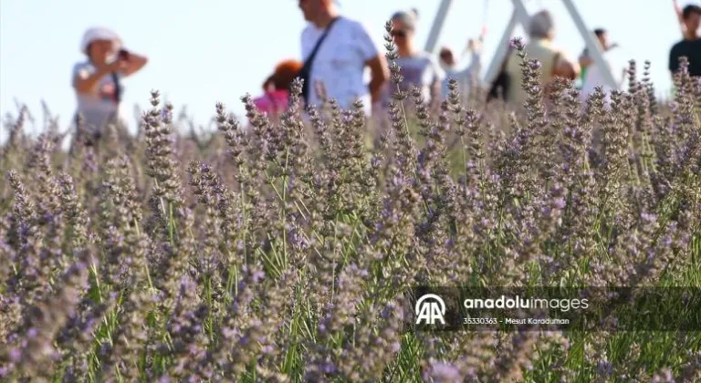 Tekirdağ'da doğal stüdyoya dönüşen renkli tarlalar turizme katkı sağladı