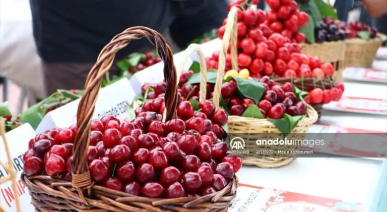 Tekirdağ'da 