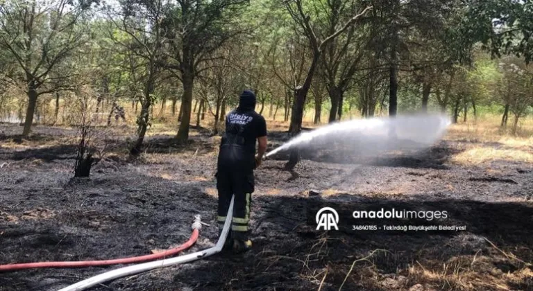 Tekirdağ'da hatıra ormanında çıkan yangın söndürüldü