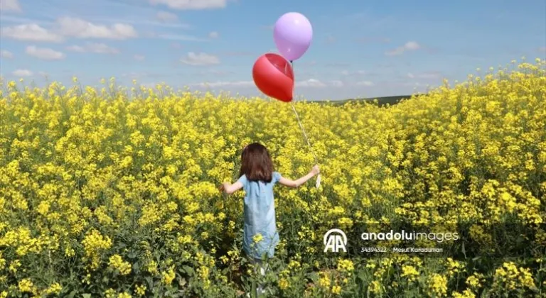 Tekirdağ'da kanola tarlaları fotoğraf tutkunlarını ağırlıyor