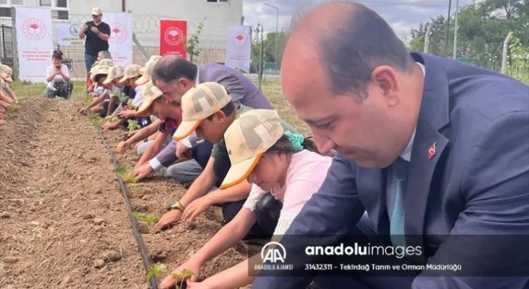 Tekirdağ'da öğrenciler çilek fidesi dikti